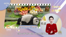 您还记得收到回信的那一天，是什么样的感受和心情吗？